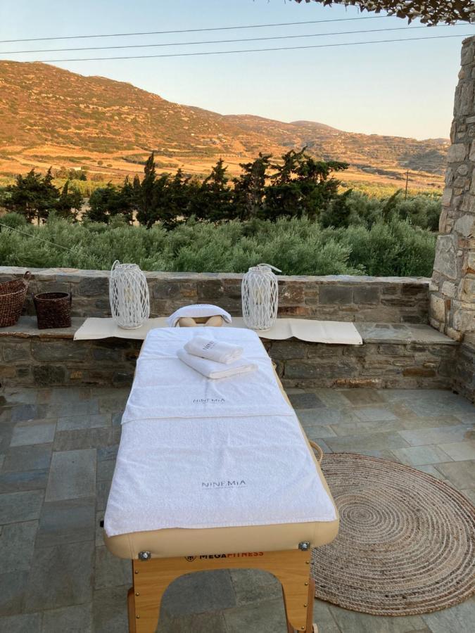 Ninemia Naxos Suites Agios Thaleleos Exterior photo
